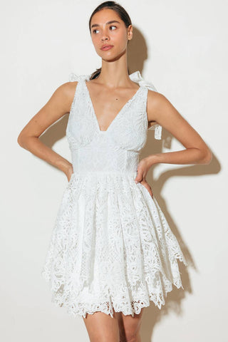 SWEETHEART GINGHAM WOVEN LACE MINI DRESS